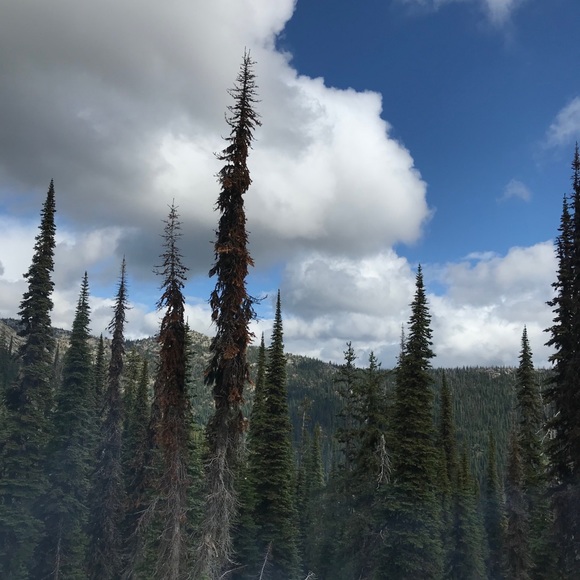 Meet your Posher, Dayne - Picture 1 of 1